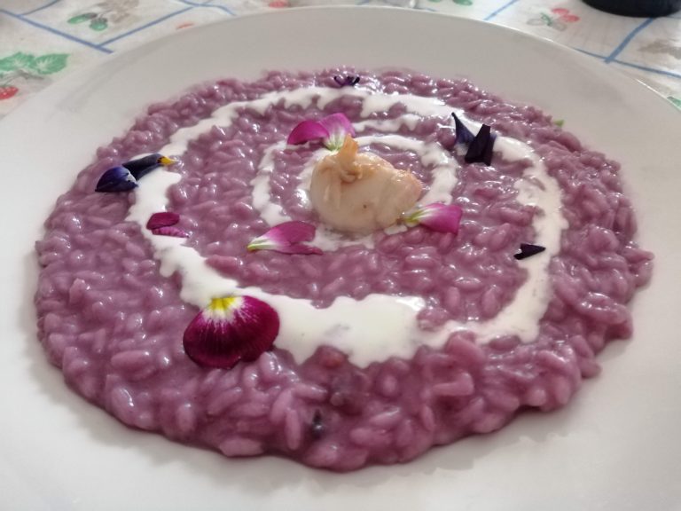 Risotto al cavolo violetto con crema di stracchino e capasanta dorata
